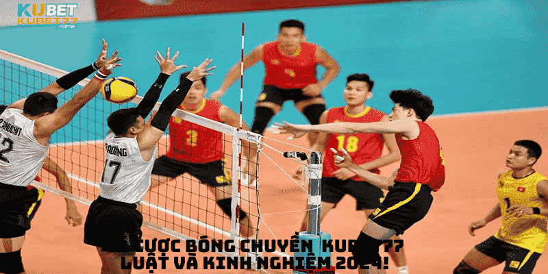 Cá cược bóng chuyền tại Kubet77: Luật và kinh nghiệm 2024!